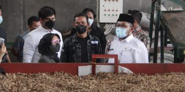 Sekda Provinsi Jambi Meninjau Pengolahan pinang. Foto: Ist