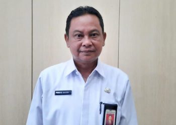 Kepala Dinas Ketahanan Pangan Provinsi Jambi, Amir Hasbi. Foto: OYI