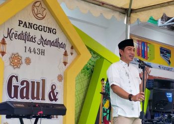 Ketua DPW PPP Provinsi Jambi, M Fadhil Arief. Foto: OYI