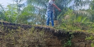 Jalan Di Desa Alai Yang Mau Ambruk. Foto: IST