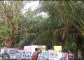 Deklarasi petani Muaro Jambi. Foto: IST