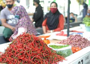 Salah satu komoditi penyumbang inflasi di Jambi.foto: IST