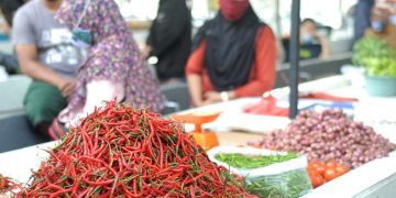 Salah satu komoditi penyumbang inflasi di Jambi.foto: IST