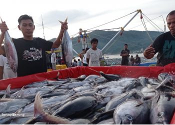 Diminati Nelayan, Registrasi Resi Gudang Komoditas Ikan Meningkat Tajam. Foto: IST PT KBI