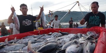Diminati Nelayan, Registrasi Resi Gudang Komoditas Ikan Meningkat Tajam. Foto: IST PT KBI