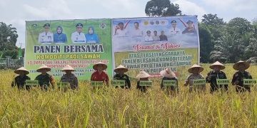 Pj Bupati Tebo, Aspan mendampingi Anggota DPR RI melakukan panen raya di Desa Rantau Api. Foto: IST