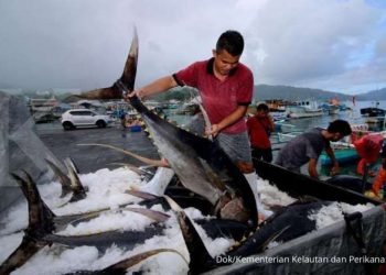 Penangkapan ikan di laut Indonesia. Foto: dokumentasi istimewa kementrian Kelautan dan perikanan.