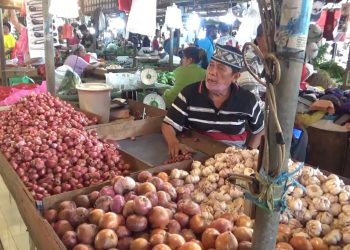 Harga kelompok Volatile Foods pengaruhi inflasi Januari 2024. Foto: DOC GOOGLE