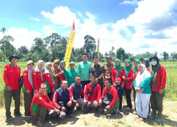 Bupati Fadhil Usai Menanam Padi Dukung Swasembada Pangan. FOTO: IST