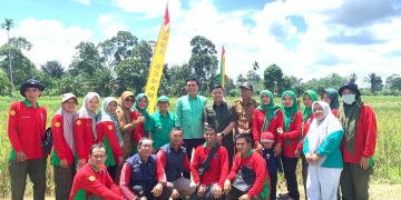 Bupati Fadhil Usai Menanam Padi Dukung Swasembada Pangan. FOTO: IST