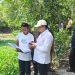Ivan Wirata bersama SY Fasha Turun melihat tapal batas di Desa Sawit Mulyo Rejo Muaro Jambi. FOTO: OYI