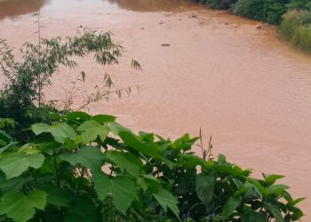 PETI di Desa Limbur Kabupaten Bungo. FOTO: IST