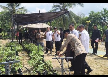 Kakanwil Ditjenpas Jambi, Hidayat saat mengaplikasikan smart farming. FOTO: OYI