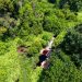 Lahan Gambut di Provinsi Jambi. FOTO: ANTARA FHOTO