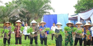 Oplus_16908288