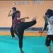 Oplus_16908288