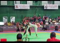 Oplus_16908288
