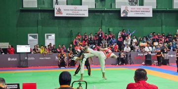 Oplus_16908288