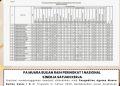 Oplus_16908288