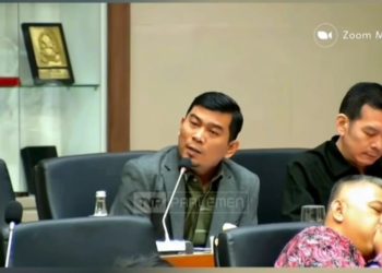 Rocky Candra Saat RDP Terkait RUU Masyarakat Adat. FOTO: IST