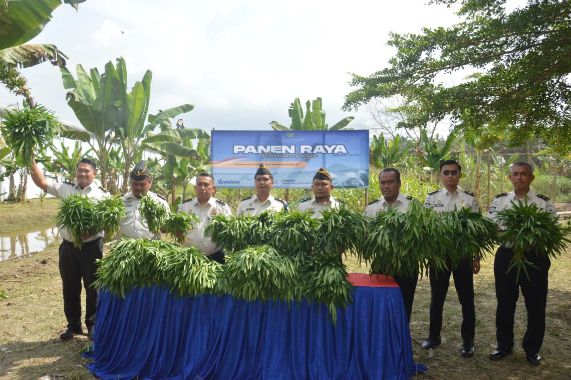 Lapas Narkotika Muara Sabak Gelar Panen Raya FOTO: DOC LAPAS