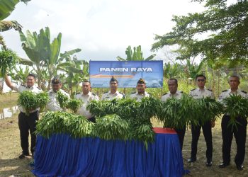 Lapas Narkotika Muara Sabak Gelar Panen Raya FOTO: DOC LAPAS