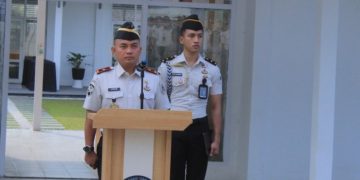 Oplus_16908288