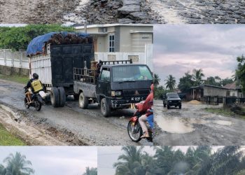 Beberapa spot jalan rusak dan berlubang di Desa Tanjung Pucuk Jambi, tepatnya di Jalan Padang Lamo Kecamatan VII Koto Kabupaten Tebo. FOTO: IST