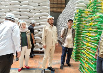 Rocky Candra Saat Sidak ke Gudang Bulog Kanwil  Jambi. FOTO : IST