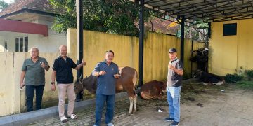 Panitia pelaksana Qurban Golkar Jambi menerima penyerahan hewan Qurban. FOTO: IST
