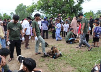Suasana pemotongan hewan kurban yang melibatkan masyarakat setempat. FOTO: IST