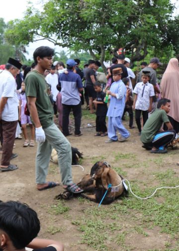Suasana pemotongan hewan kurban yang melibatkan masyarakat setempat. FOTO: IST