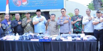 Oplus_16908288