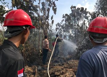 Petugas saat memadamkan api saat terjadi kebakaran hutan dan lahan di wilayah Tebo. FOTO: IST