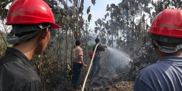 Petugas saat memadamkan api saat terjadi kebakaran hutan dan lahan di wilayah Tebo. FOTO: IST