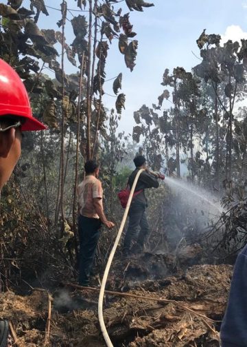 Petugas saat memadamkan api saat terjadi kebakaran hutan dan lahan di wilayah Tebo. FOTO: IST