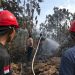 Petugas saat memadamkan api saat terjadi kebakaran hutan dan lahan di wilayah Tebo. FOTO: IST