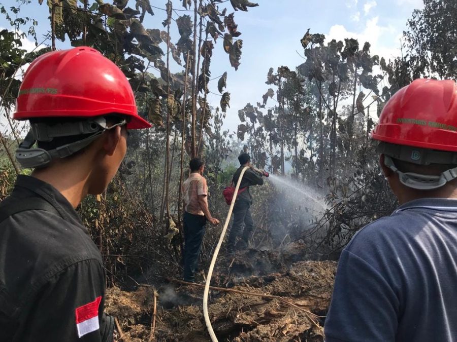 Petugas saat memadamkan api saat terjadi kebakaran hutan dan lahan di wilayah Tebo. FOTO: IST