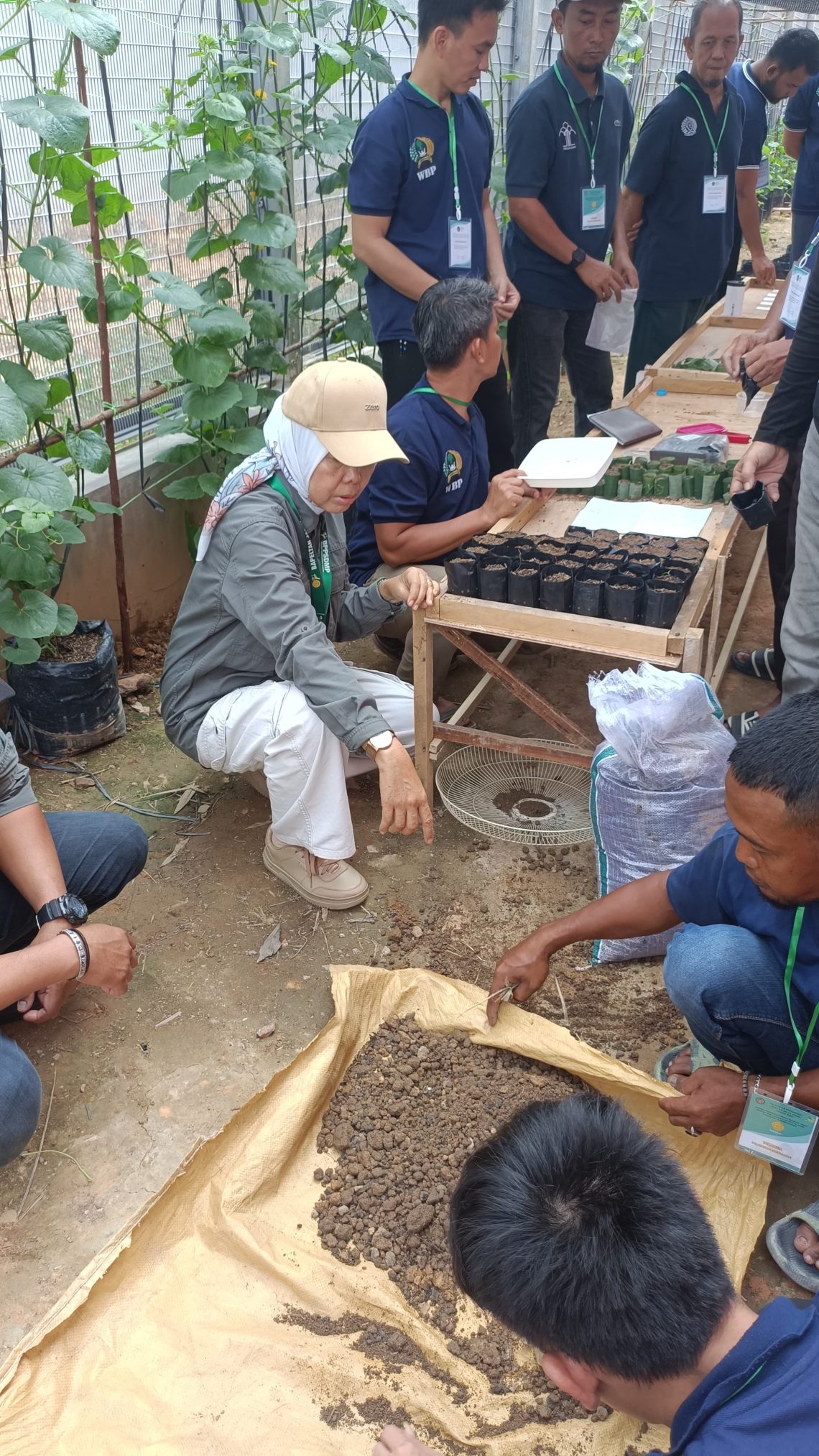 Sinergitas Lapas Jambi dan Bapeltan, berikan pelatihan dan praktek lapangan menanam bibit bagi warga binaan. FOTO: IST