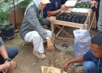 Sinergitas Lapas Jambi dan Bapeltan, berikan pelatihan dan praktek lapangan menanam bibit bagi warga binaan. FOTO: IST