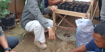 Sinergitas Lapas Jambi dan Bapeltan, berikan pelatihan dan praktek lapangan menanam bibit bagi warga binaan. FOTO: IST