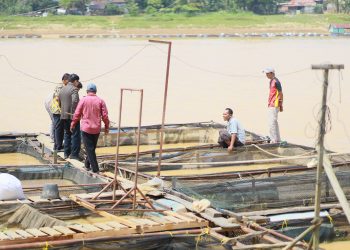 Ivan Wirata saat melihat kondisi kerambah jaring apung milik warga di Desa Sarang Burung Muaro Jambi. FOTO: UCUP