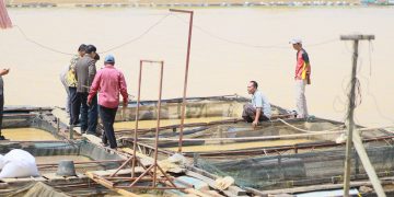 Ivan Wirata saat melihat kondisi kerambah jaring apung milik warga di Desa Sarang Burung Muaro Jambi. FOTO: UCUP