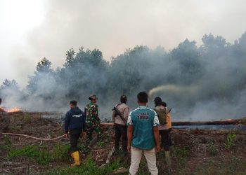 Satgas saat memadamkan api di kawasan gambut di Tanjab Timur. FOTO: IST