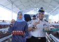 Kakanwil Hadiri Panen Perdana 500 Butir Telur Ayam Petelur di Lapas Narkotika Muara Sabak. FOTO: IST