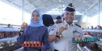 Kakanwil Hadiri Panen Perdana 500 Butir Telur Ayam Petelur di Lapas Narkotika Muara Sabak. FOTO: IST