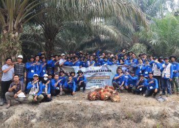 Tingkatkan Produktivitas Sawit Rakyat, 118 Pekebun Jambi Dibekali Teknik Panen dan Pasca Panen. FOTO: IST