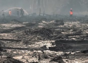 Lokasi kebakaran lahan gambut di wilayah Muaro Jambi. FOTO: UCUP