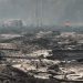 Lokasi kebakaran lahan gambut di wilayah Muaro Jambi. FOTO: UCUP