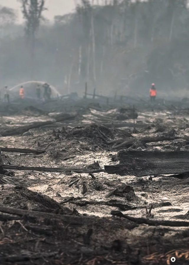 Lokasi kebakaran lahan gambut di wilayah Muaro Jambi. FOTO: UCUP